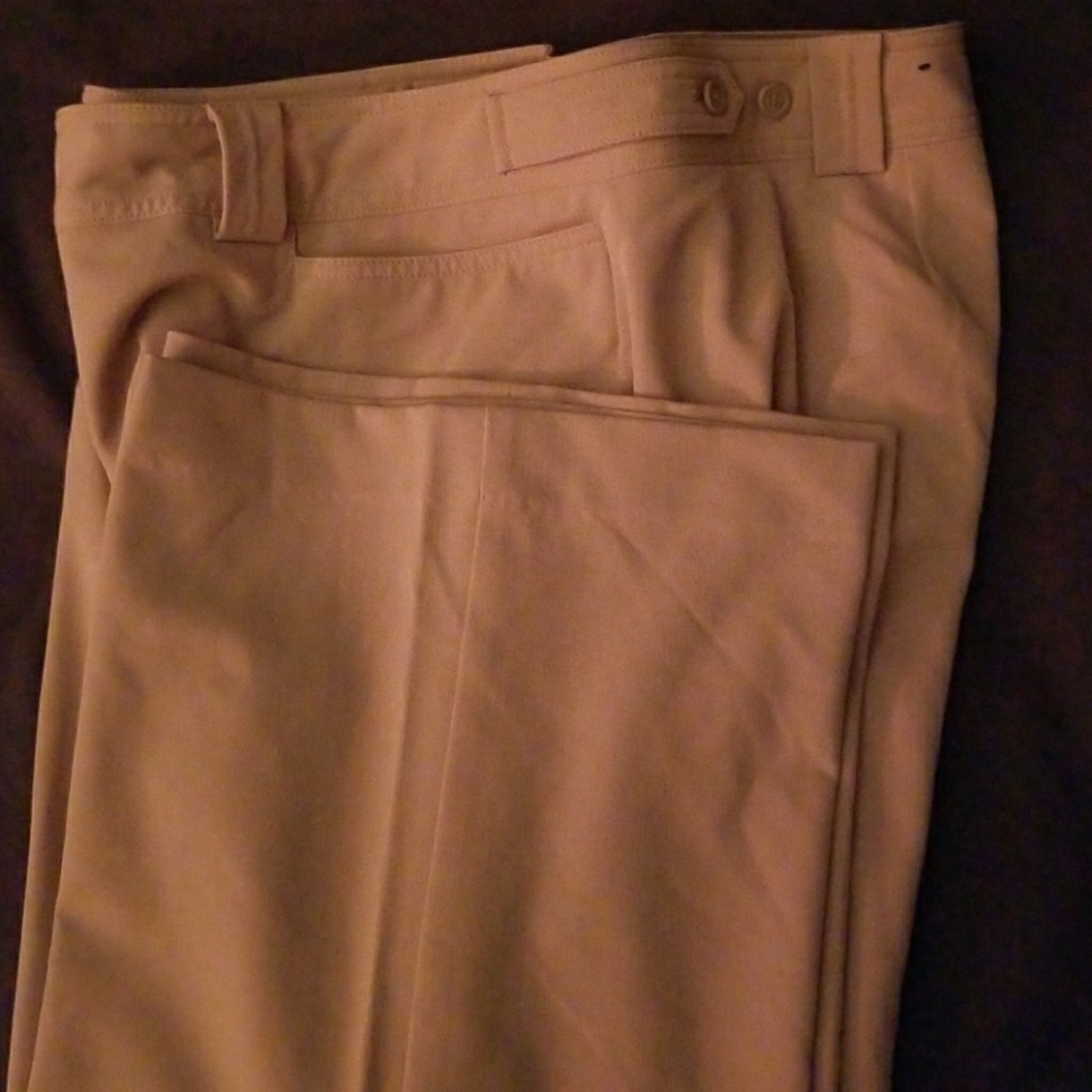 Lane Bryant Pants. Never worn